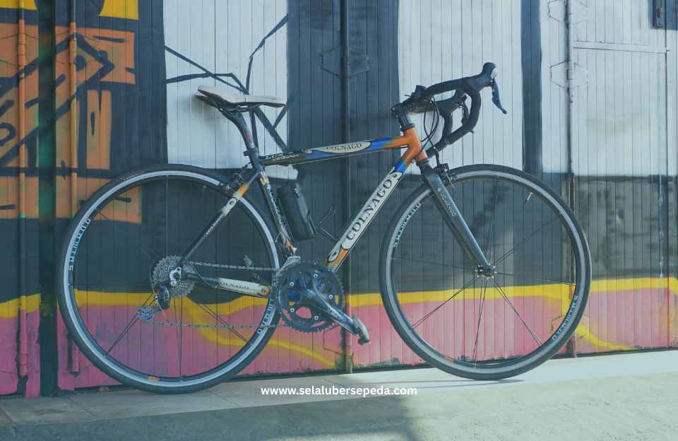 Roadbike Colnago Lux Dream - Wheelset Shimano R535