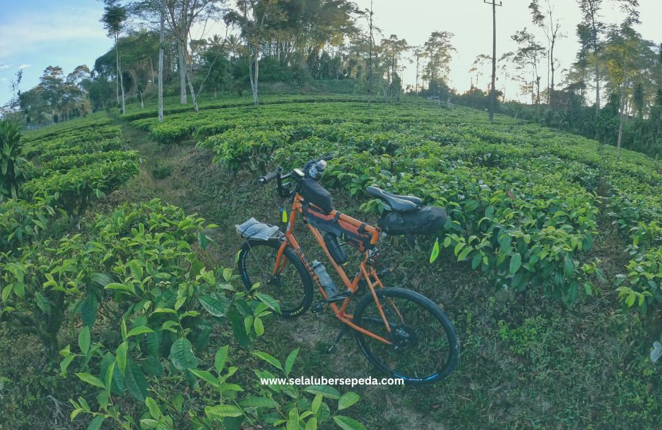 Sepeda Pariwisata - Tall Bike Sepeda Pariwisata - Tall Bike